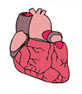 Herz Grafik