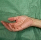 Hand