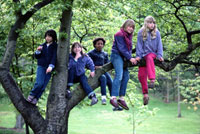 Kinder spielen auf dem Baum